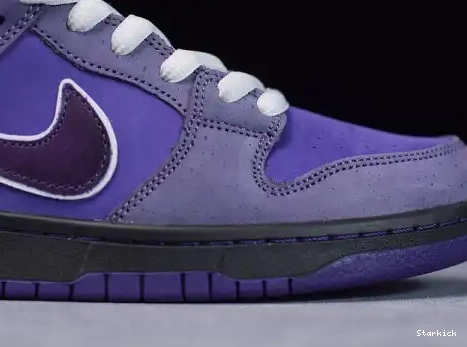 Concepts Purple SB Nike Low Lobster Dunk BV1310-555 0707